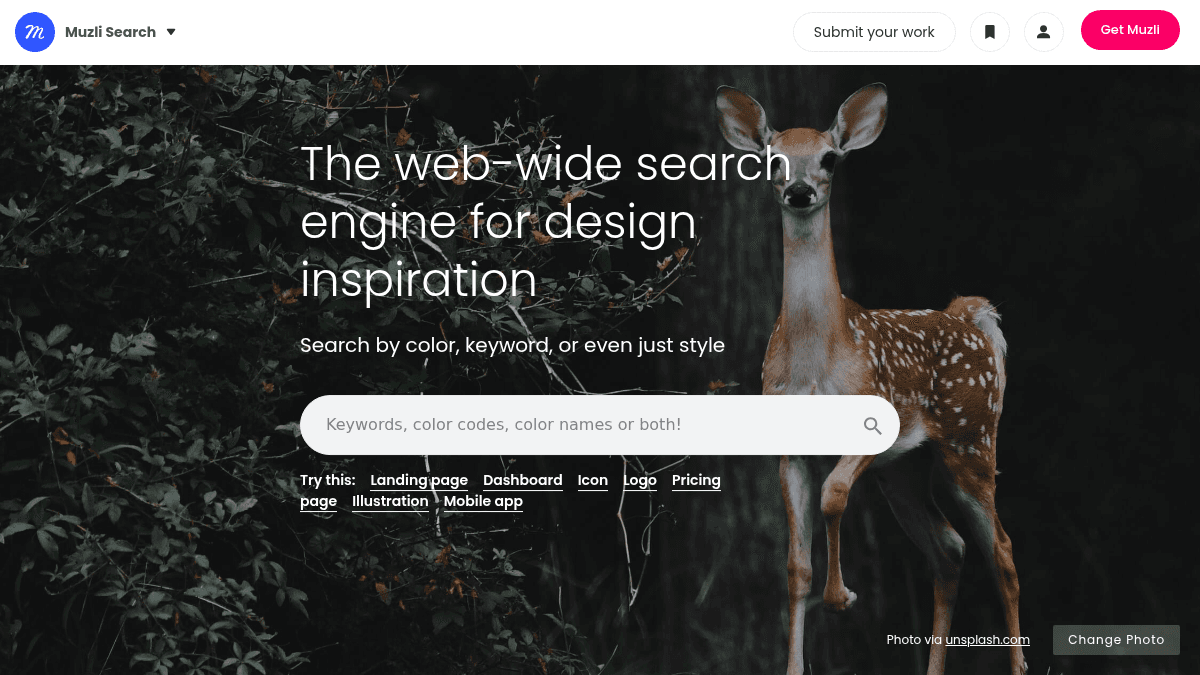 Search by Muzli