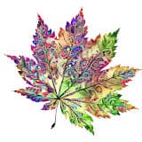 Deep Dream Generator