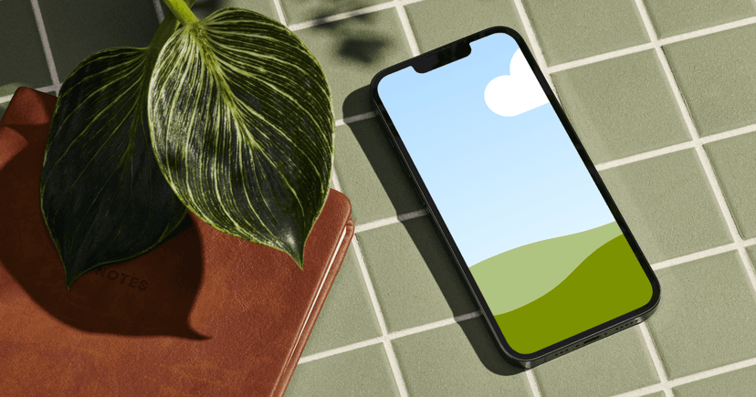 Canva Mockups